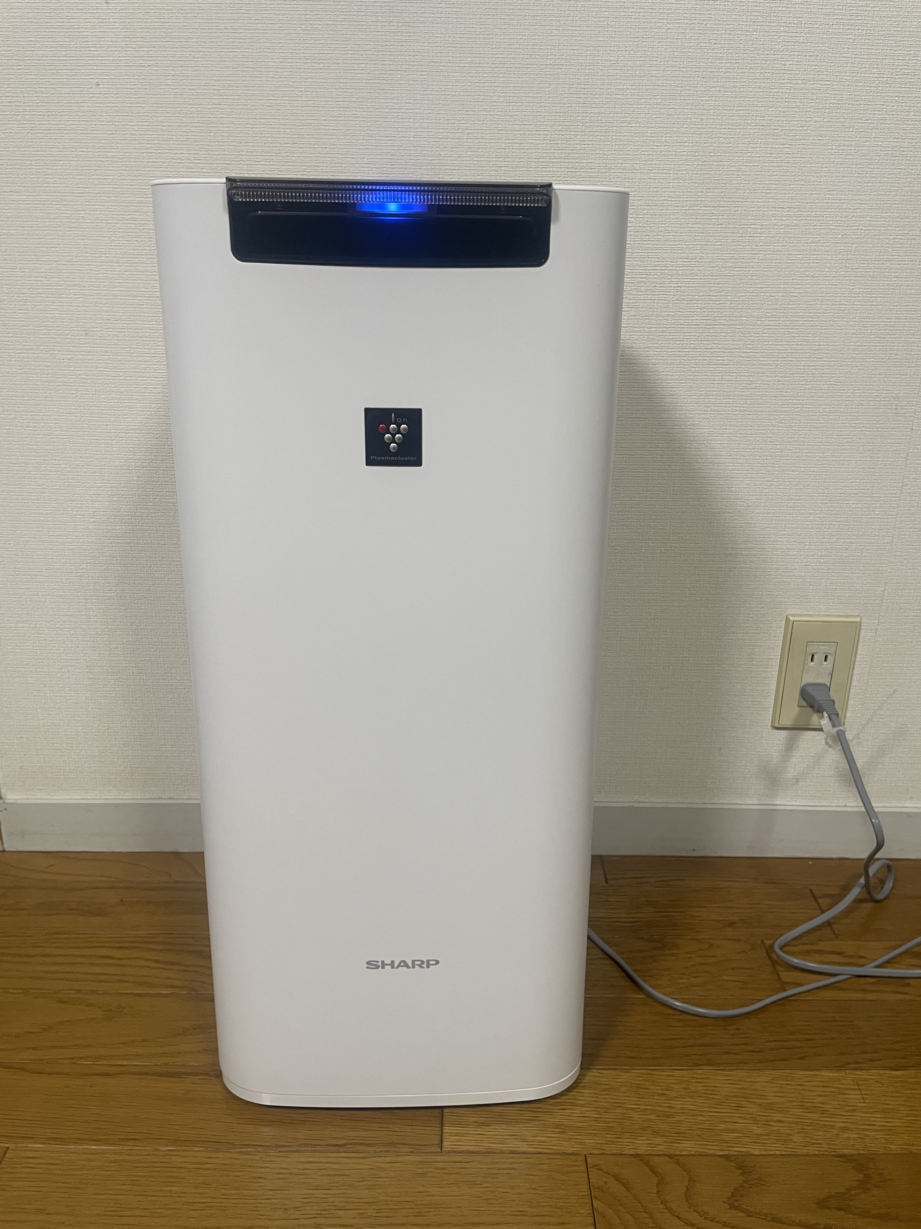 今月のオススメ商品。