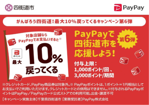 PayPay.png