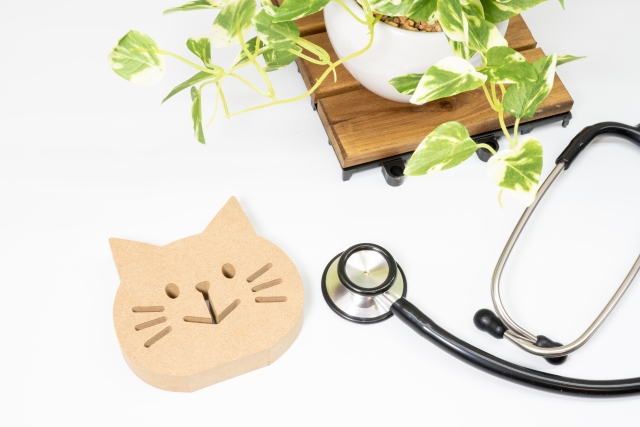 協会けんぽの保険料率が変わります