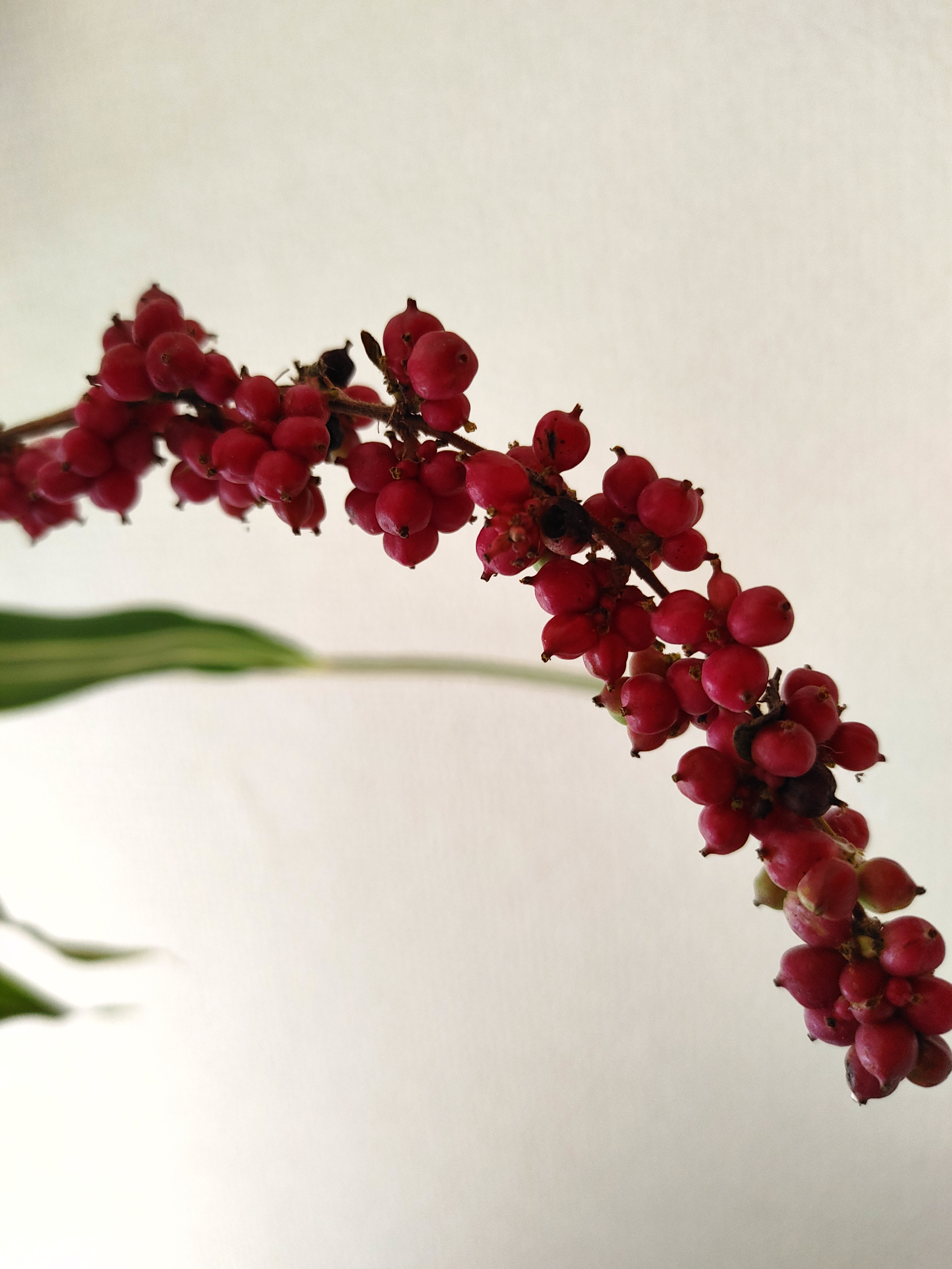 ブログ更新しました