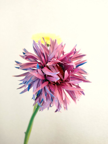 年末年始のお休みについて