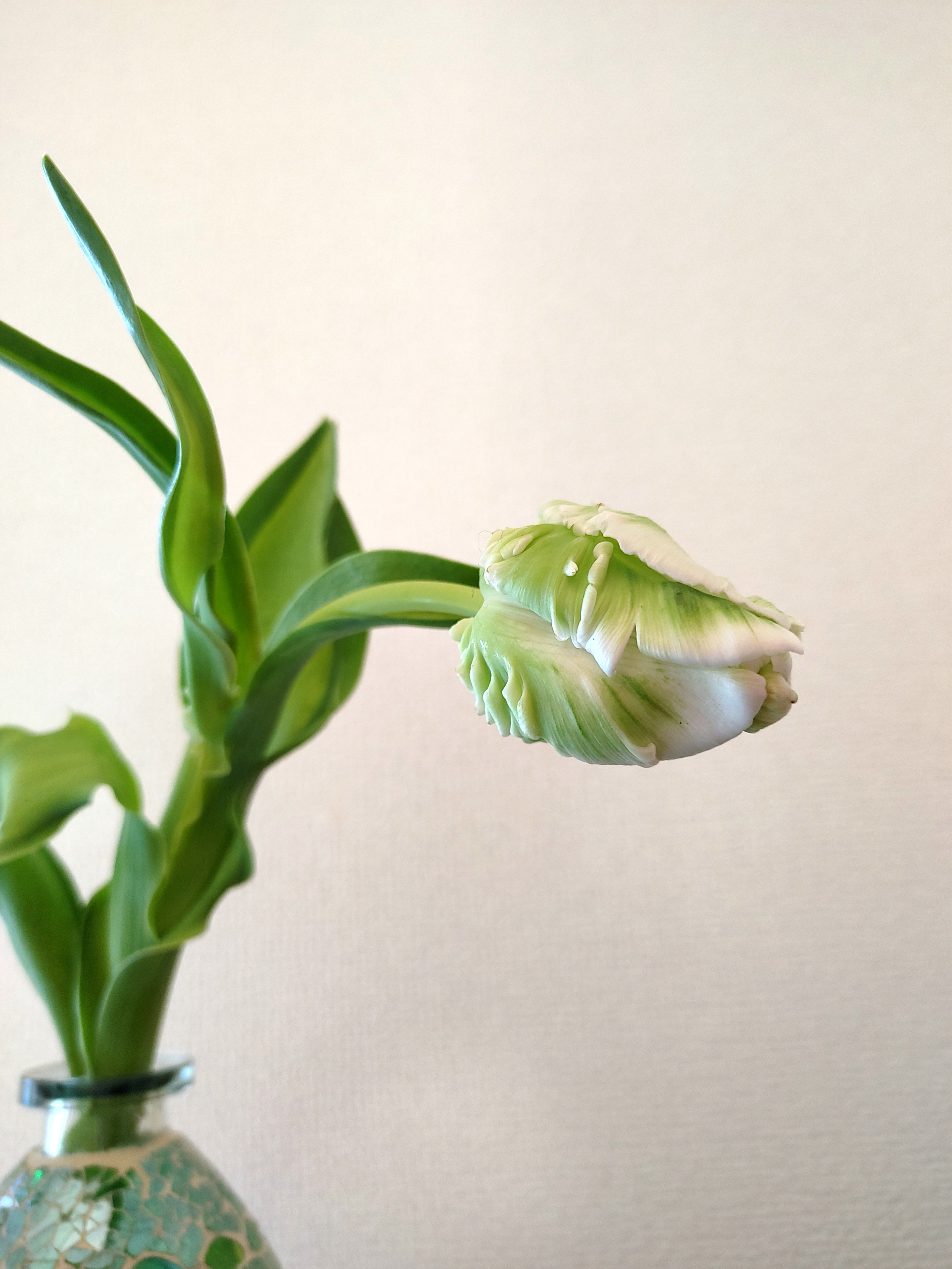 2025年もお世話になりました