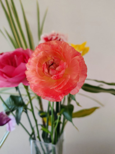 ブログ更新しました