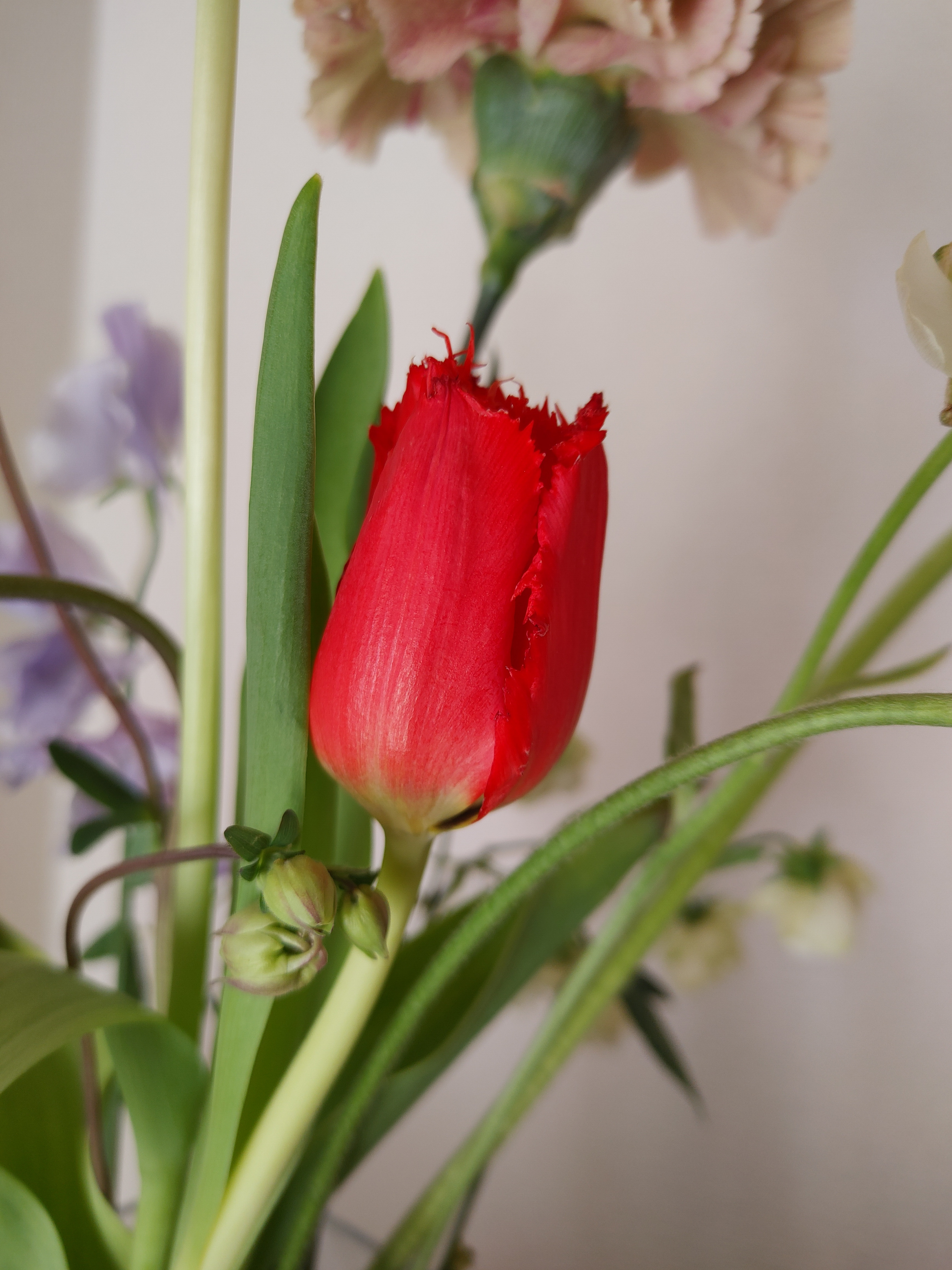 ゴールデンウィーク期間中の開室について