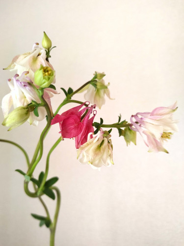 ブログ更新しました