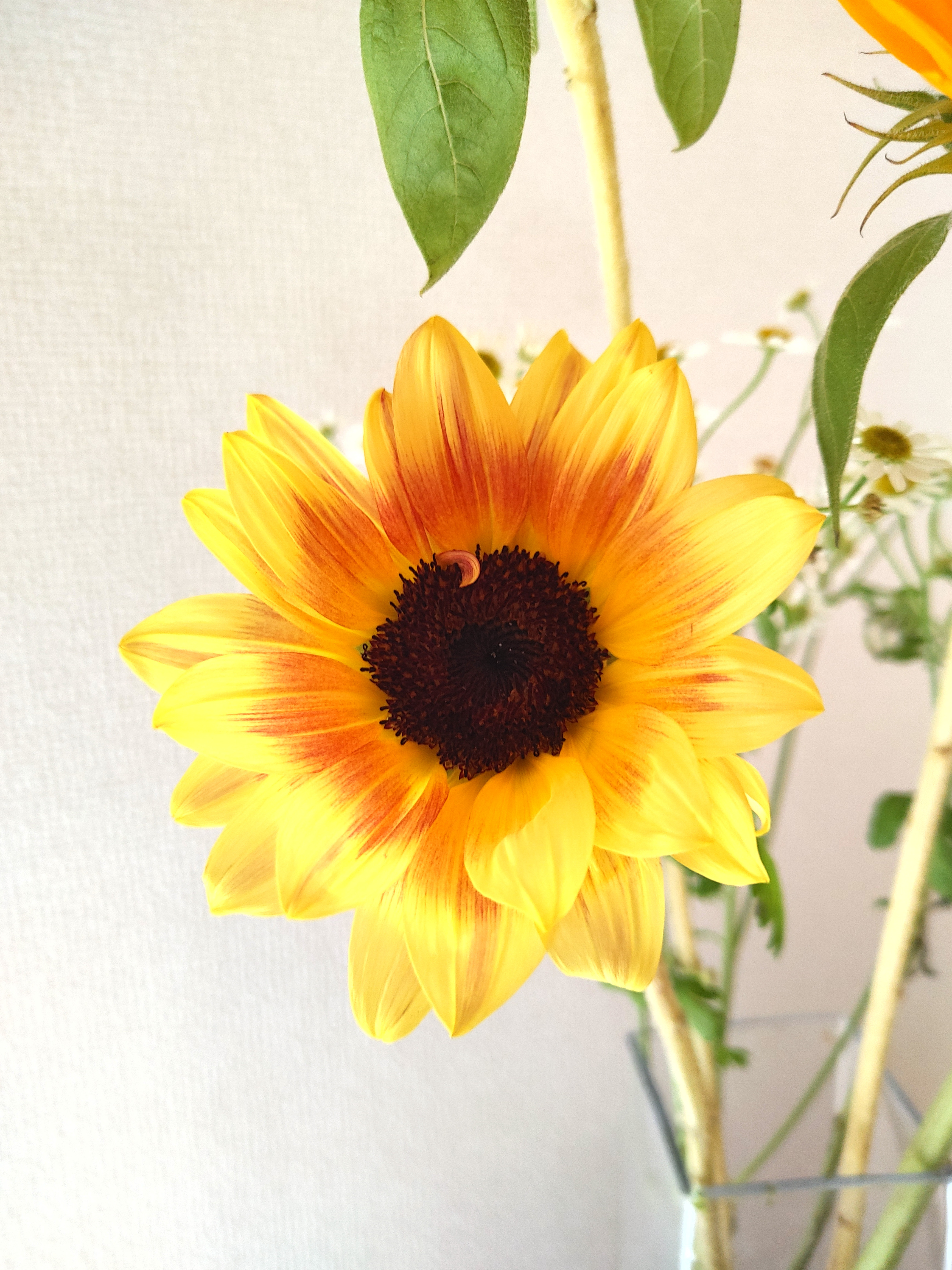 ブログ更新しました