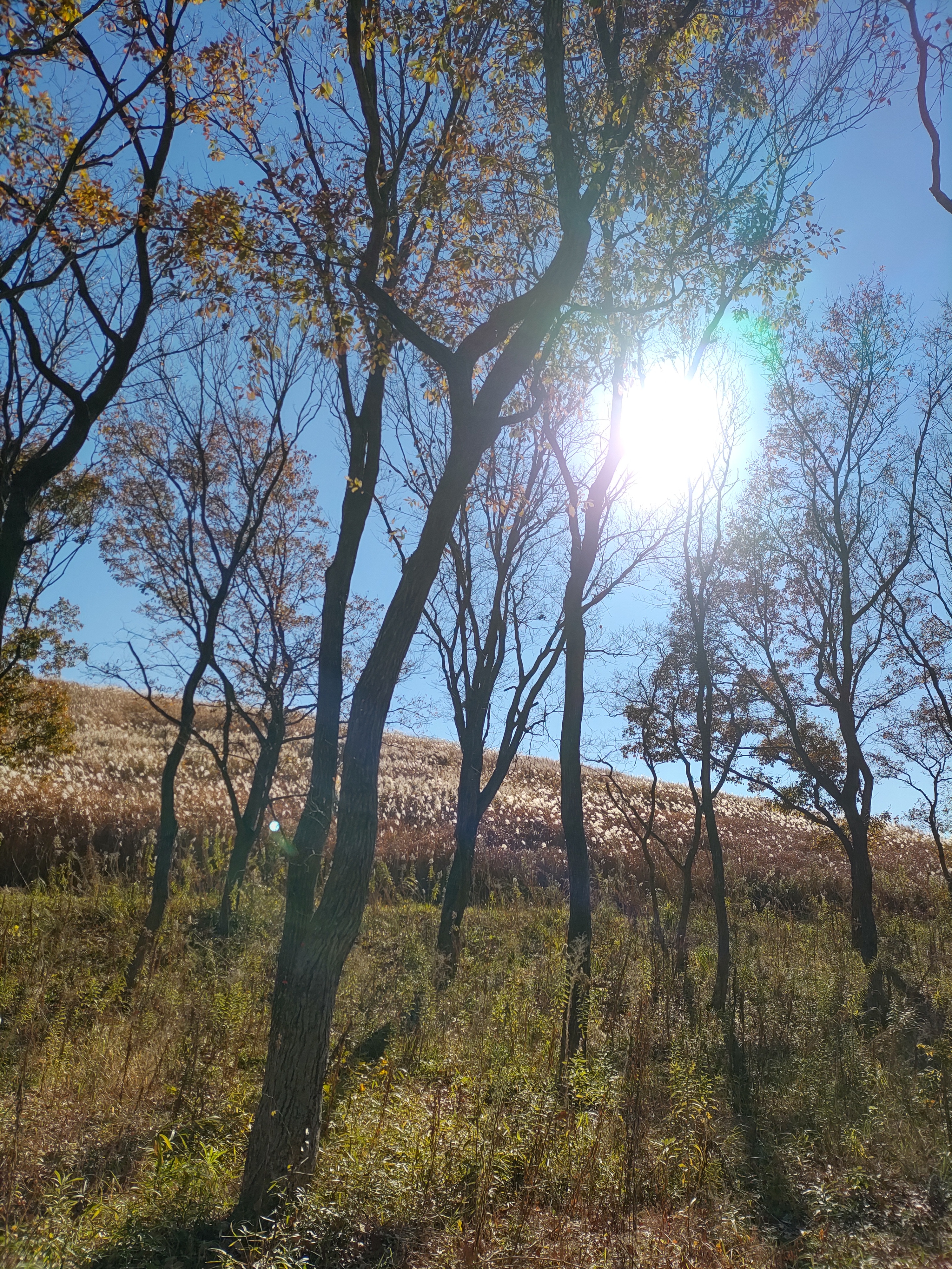 『年末年始』のお休み