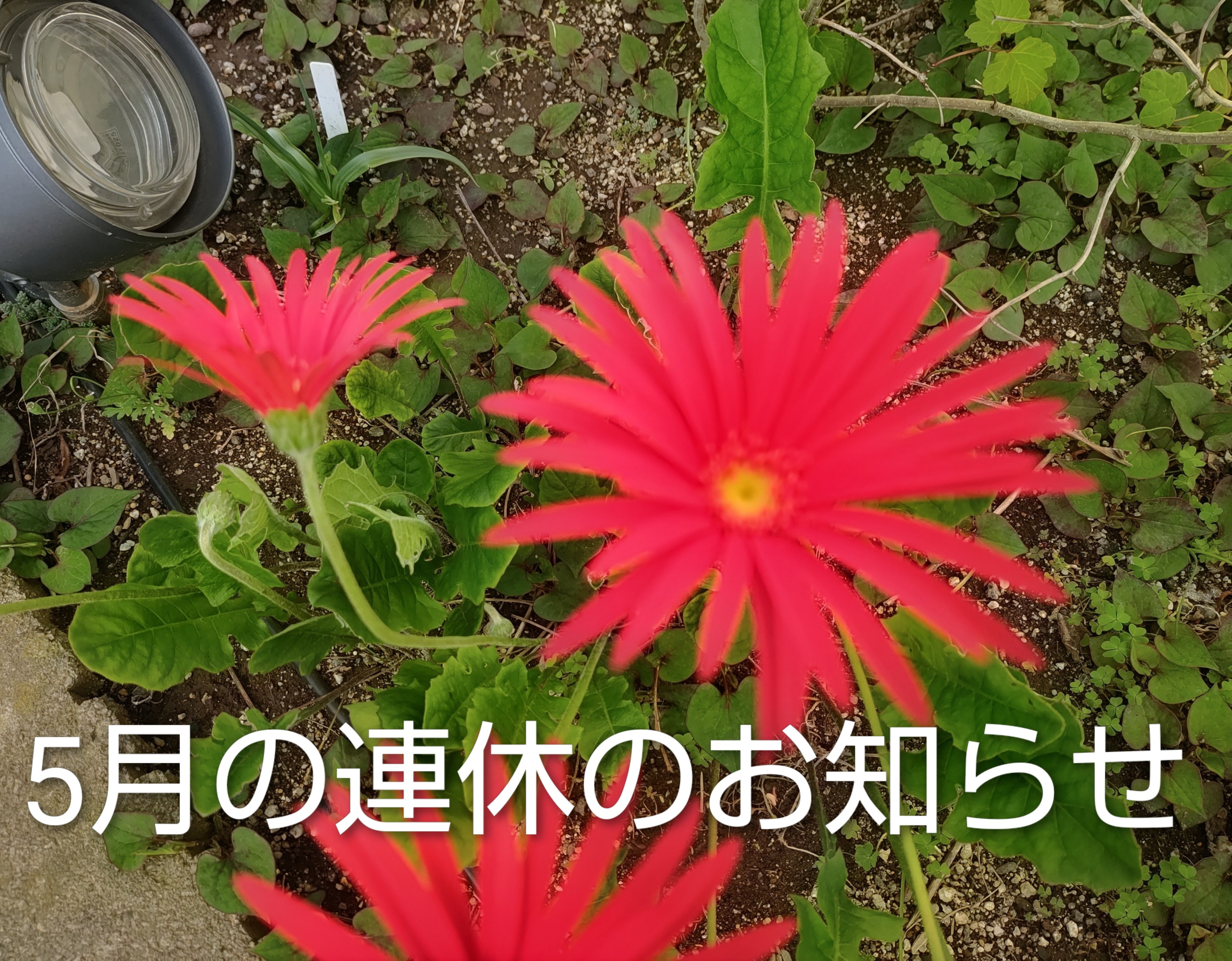 『５月連休のお知らせ』