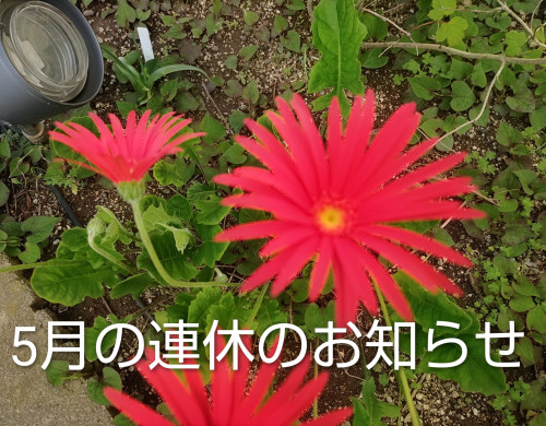 『５月連休のお知らせ』