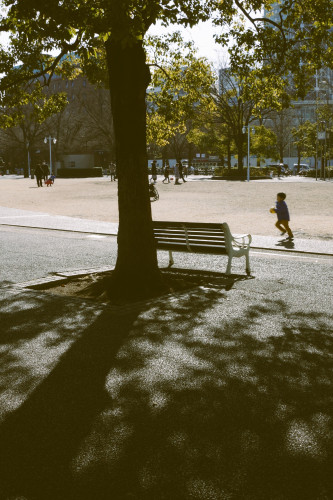 IMG-3721.JPG