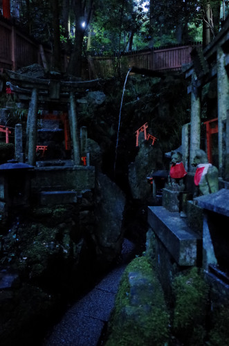 _R005571.JPG