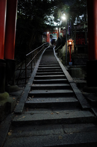 _R005540.JPG