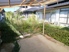 IMG_20250928_085233_149.jpg