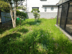 IMG_20260512_085549_859.jpg