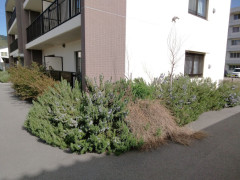 IMG_20260422_080655_585.jpg