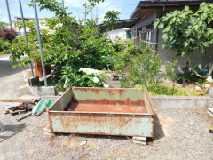 IMG_20260611_094951_270.jpg