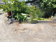 IMG_20260611_110652_170.jpg