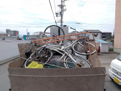 IMG_20260801_103603_324.jpg
