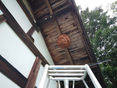 IMG_20260830_102454_462.jpg