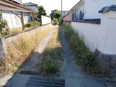 IMG_20261009_090046_941.jpg