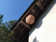 IMG_20261015_150827_413.jpg