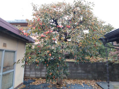 IMG_20261025_095428_146.jpg