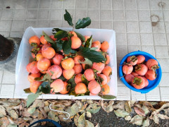 IMG_20261025_101748_042.jpg