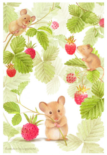 Illustration 小さな動物と花シリーズ 3ページ Coppe0630 色鉛筆のアトリエ