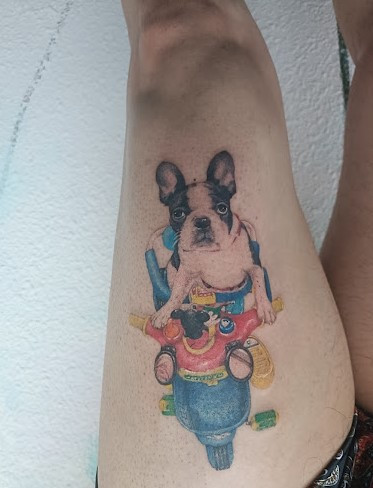 お客様の目から見て見えるように愛犬さんを施術♡