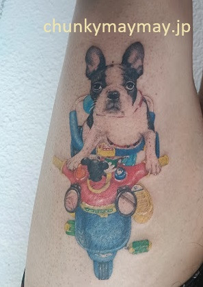 お客様の目から見て見えるように愛犬さんを施術♡