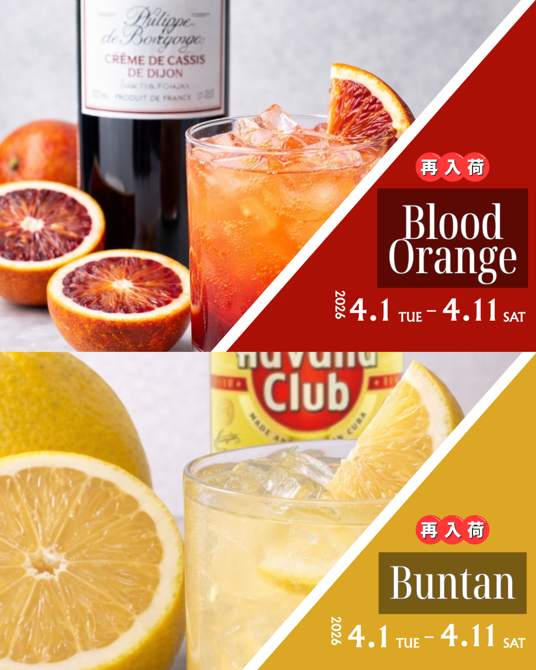 愛媛県産／ブラッドオレンジ＆高知産／土佐文旦