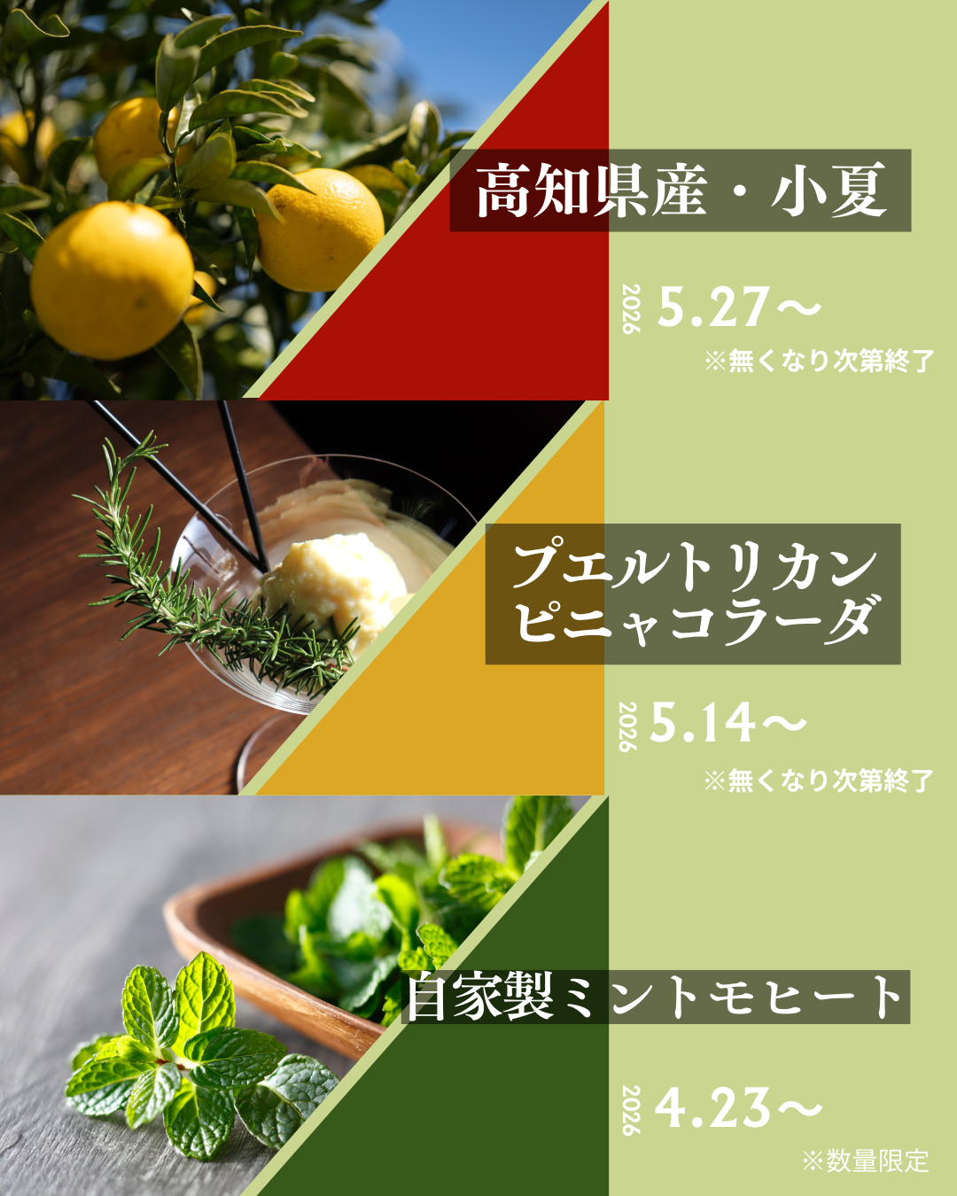 今月のおすすめ