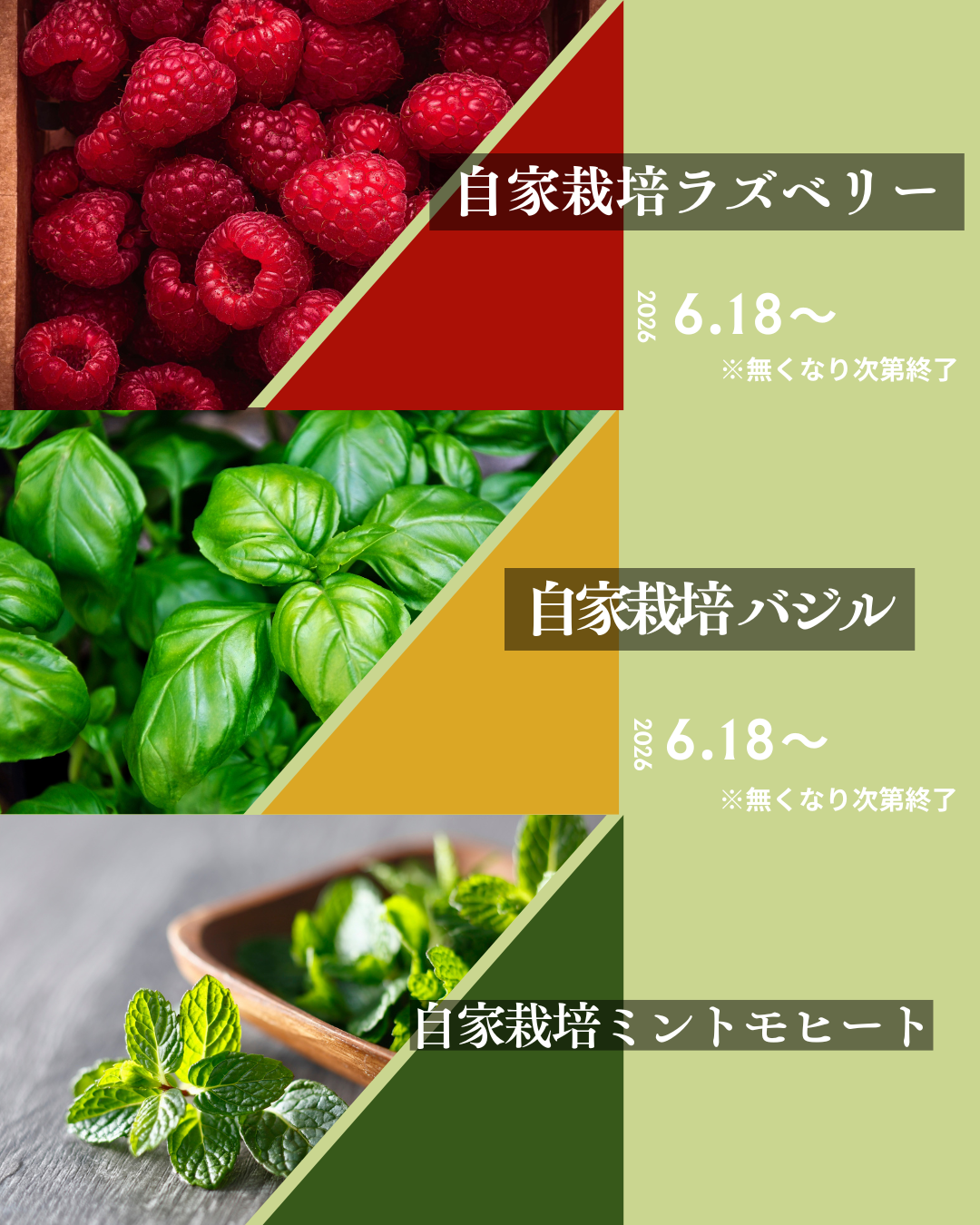 今月のおすすめ