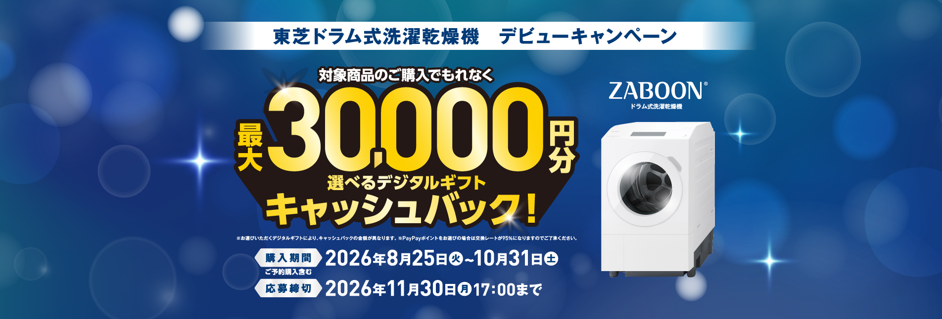 ◇大阪府神戸市配達無料！5ヶ月保証！◇美品2024年！◇東芝◇ドラム式洗濯乾燥機 ☆東芝ドラム式洗濯乾燥機 デビューキャンペーン☆ - リックス