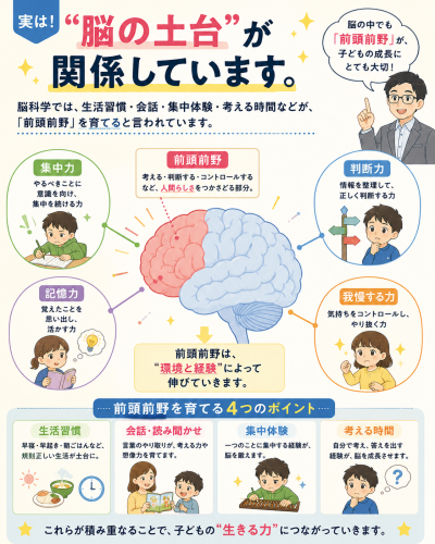 脳の土台.png