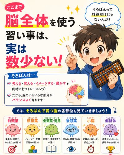 脳の部位②.png