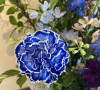 IMG_3761.jpeg