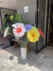 IMG_7211.jpeg