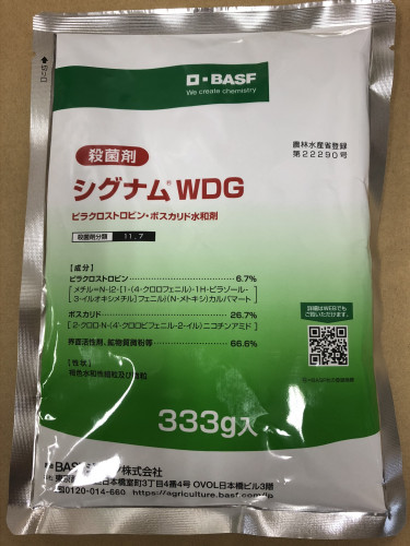 シグナム wdg