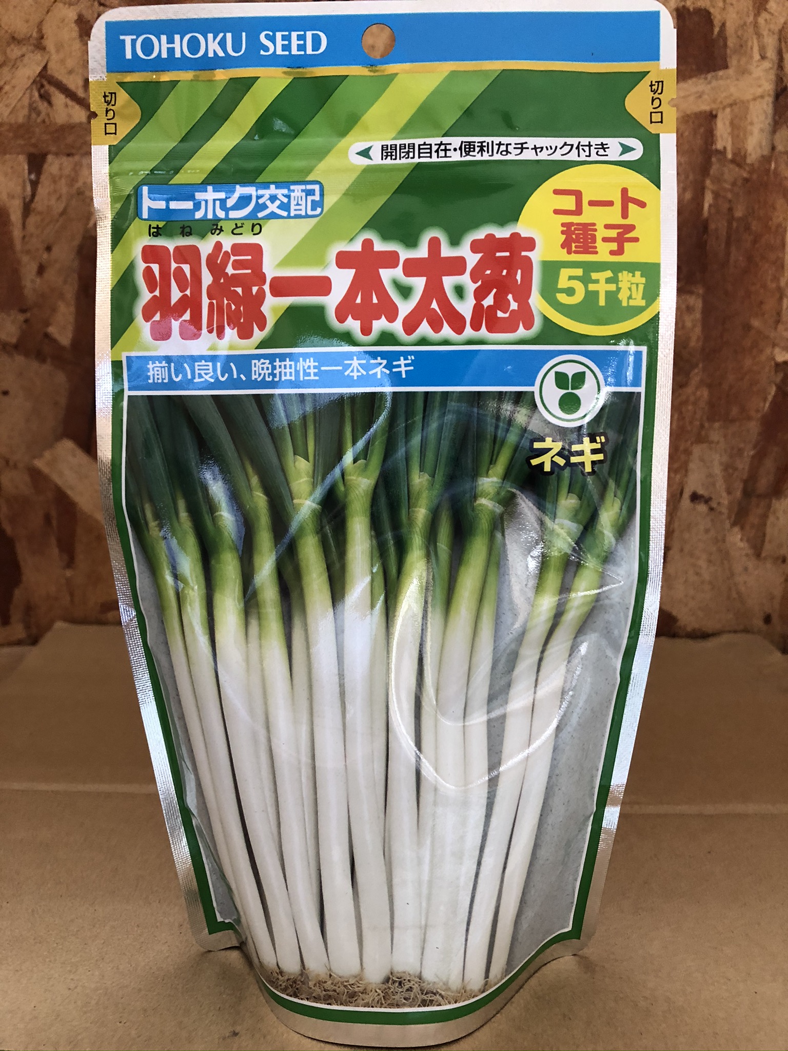 羽緑一本太（ねぎ）10月蒔き - 有限会社 内田種苗店