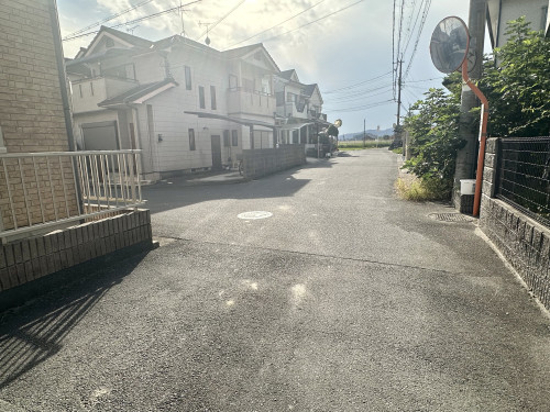 IMG_8446.jpeg