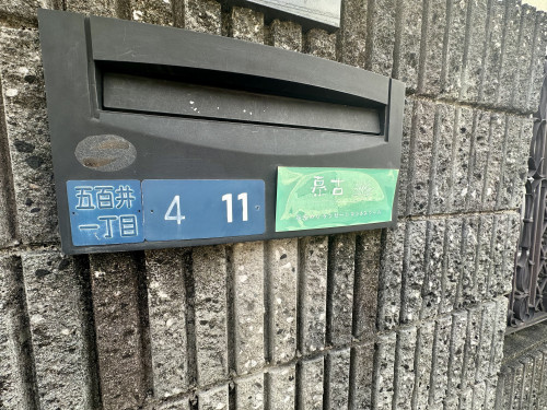 IMG_8442.jpeg