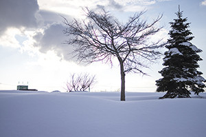 冬景色.jpg