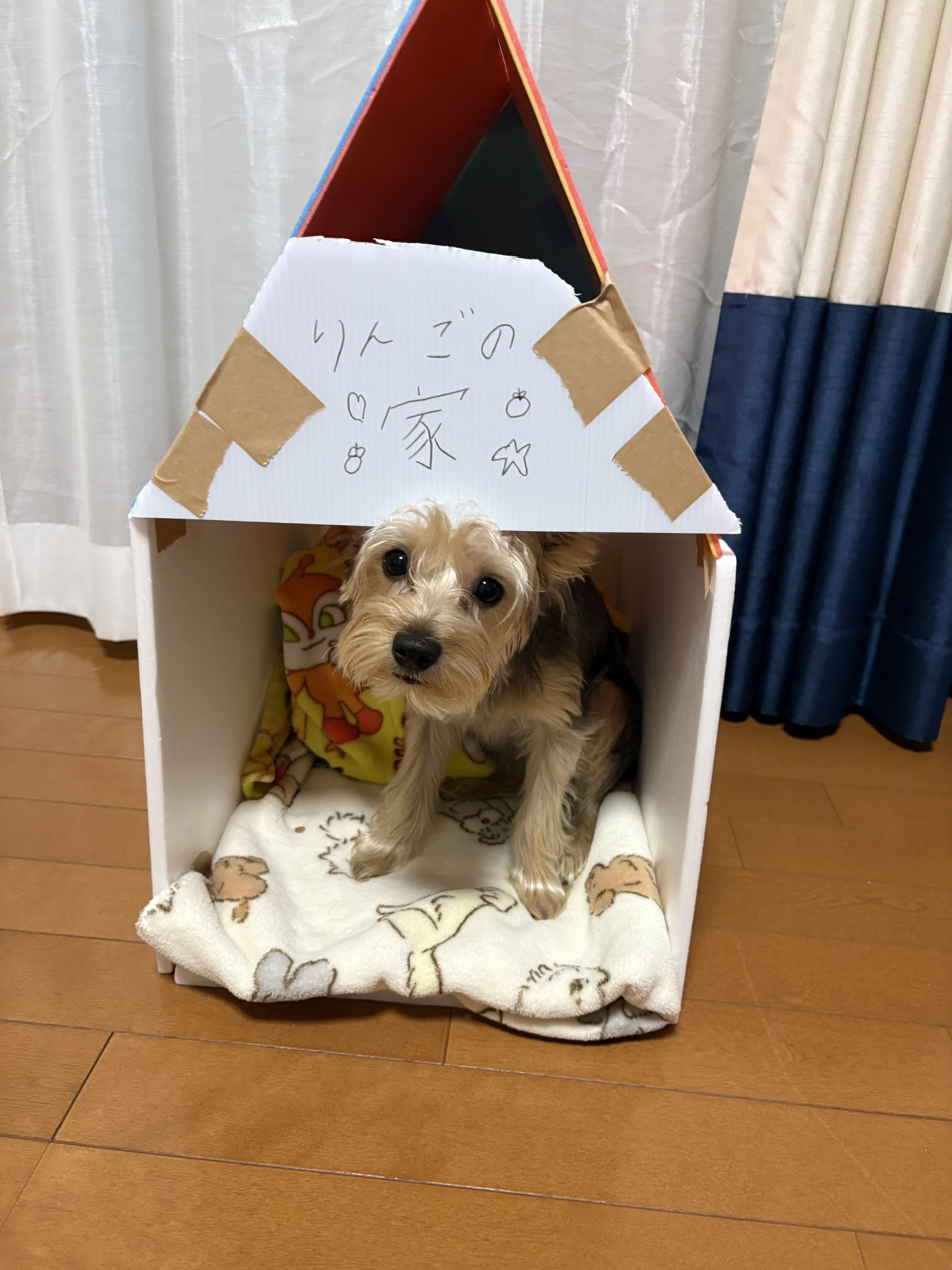 11/2日曜〜11/8土曜ご予約