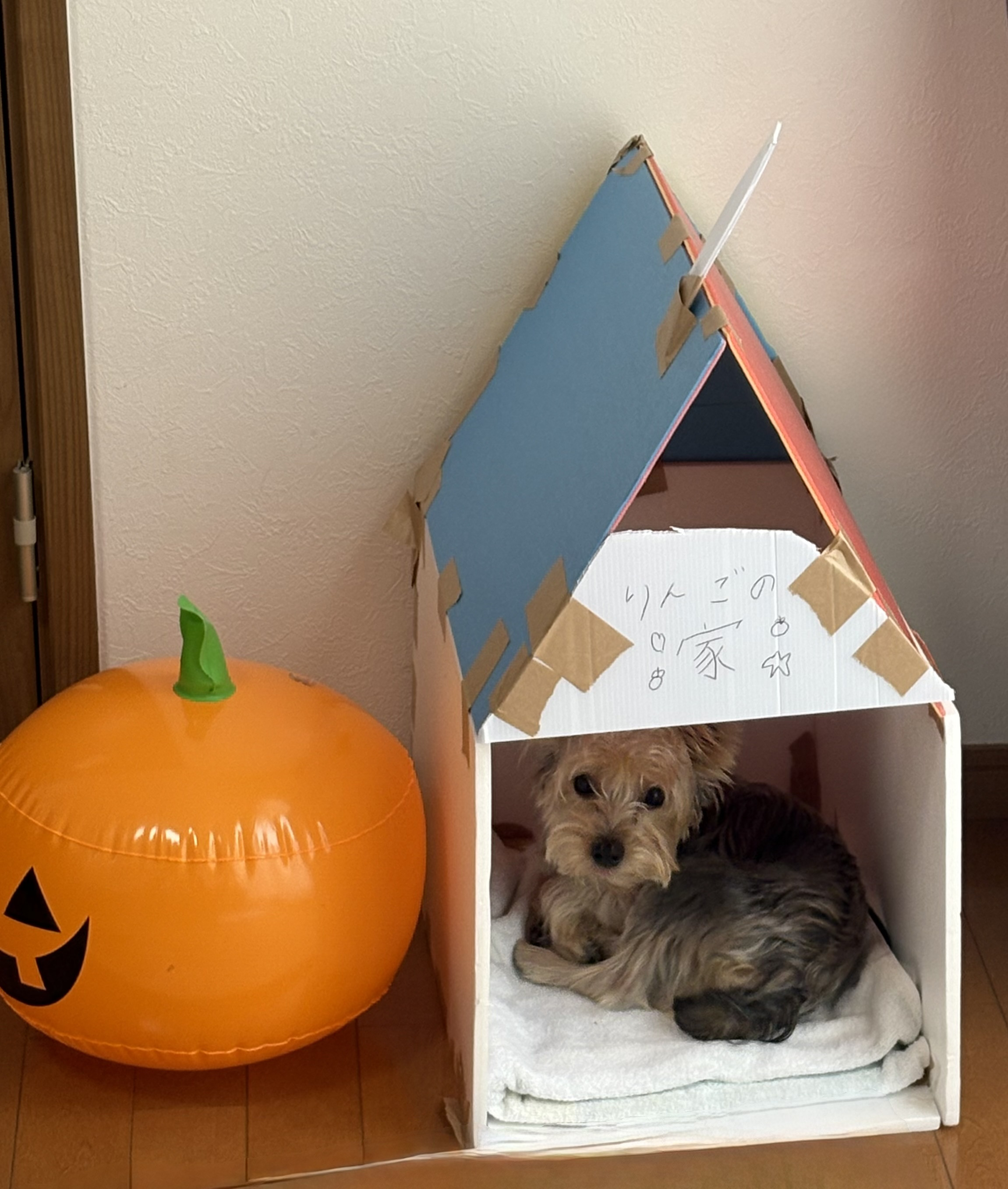 11/2日曜〜11/8土曜ご予約