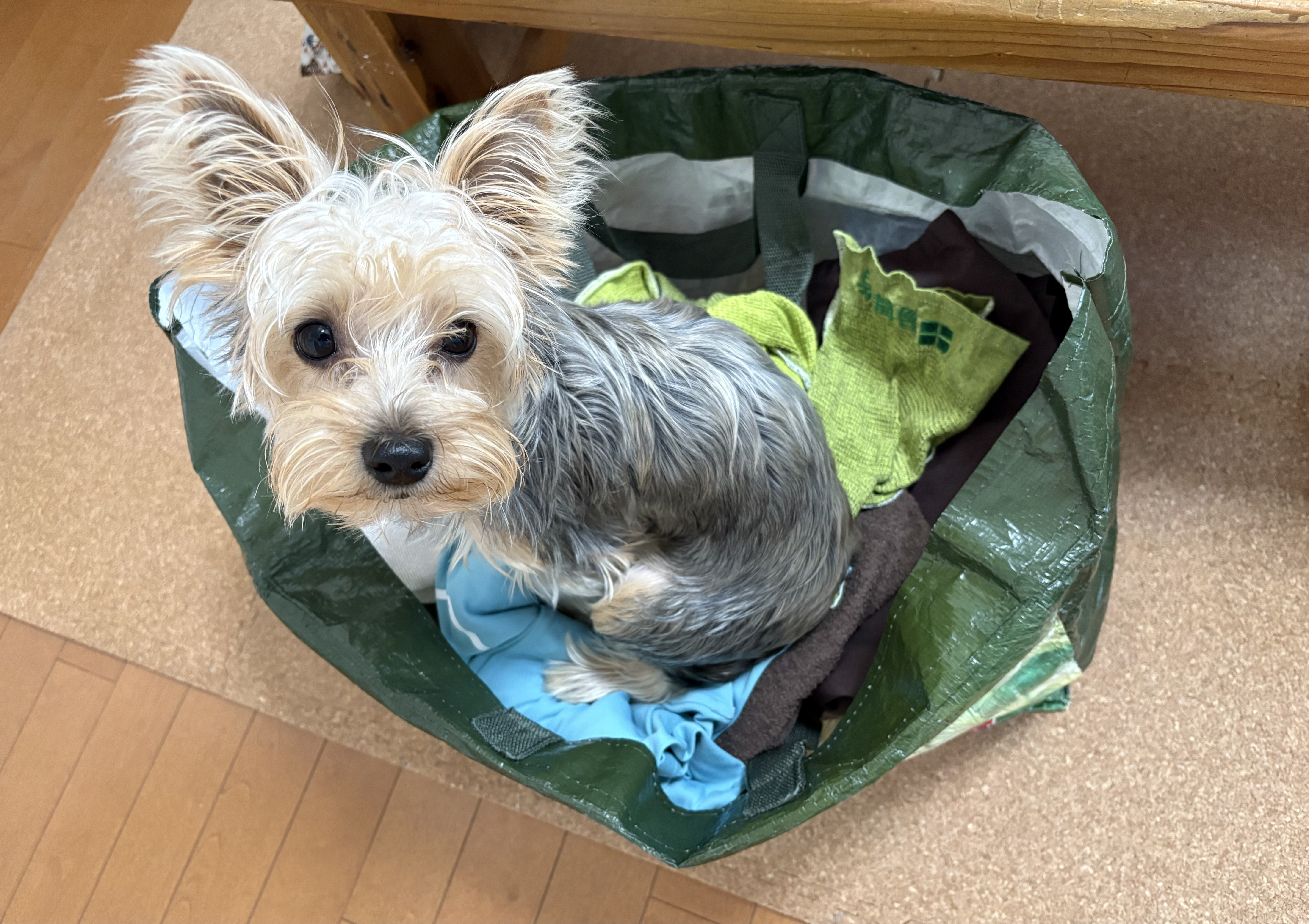 11/16日曜〜11/22土曜ご予約