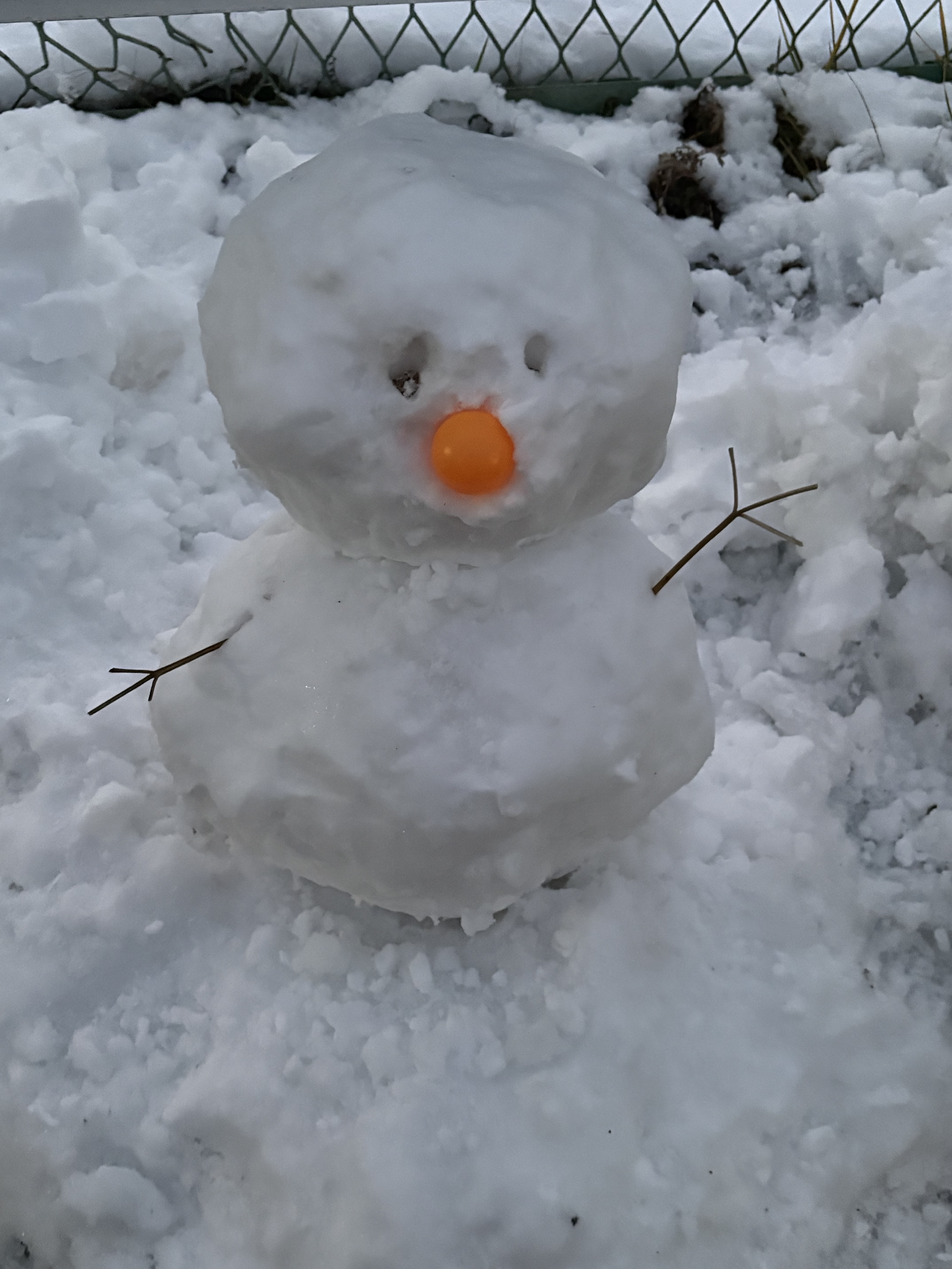 2/8日曜〜2/14土曜ご予約