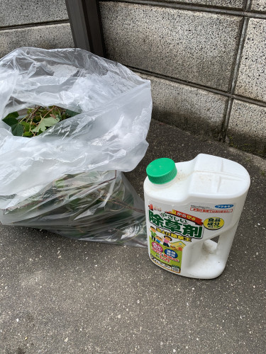 EF3DA842-92D2-4CF2-BF1B-595530527237.jpeg
