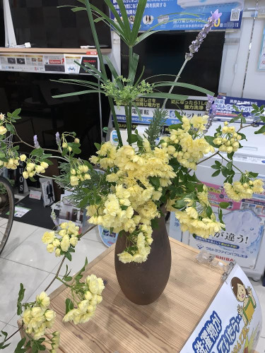 C2494BD1-FF02-4025-898A-3441D7E56E34.jpeg