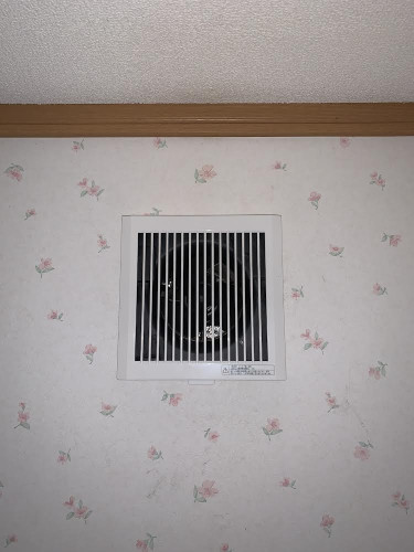 2EF79B84-0FC9-4056-BD99-D98FC7254792.jpeg